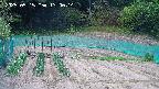 kannonmori-20250515130016.jpg