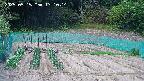 kannonmori-20250515131015.jpg