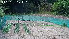 kannonmori-20250515132017.jpg