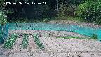 kannonmori-20250515133016.jpg