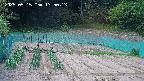 kannonmori-20250515135015.jpg