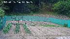 kannonmori-20250515140017.jpg