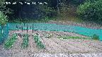 kannonmori-20250515141017.jpg