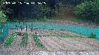 kannonmori-20250515142016.jpg