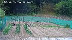 kannonmori-20250515143016.jpg