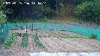 kannonmori-20250515144016.jpg