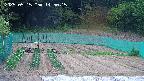 kannonmori-20250515145016.jpg