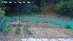 kannonmori-20250515150015.jpg