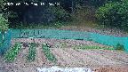 kannonmori-20250515152019.jpg
