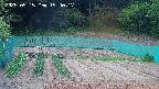 kannonmori-20250515154019.jpg