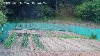 kannonmori-20250515155016.jpg