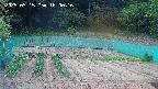 kannonmori-20250515160017.jpg