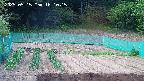 kannonmori-20250515161017.jpg