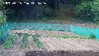 kannonmori-20250515162017.jpg