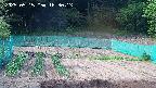 kannonmori-20250515163015.jpg