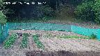 kannonmori-20250515164015.jpg