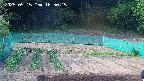 kannonmori-20250515165017.jpg