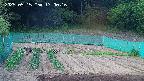 kannonmori-20250515170017.jpg