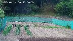kannonmori-20250515171017.jpg
