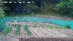 kannonmori-20250515173017.jpg
