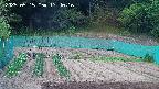 kannonmori-20250515174017.jpg