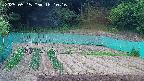 kannonmori-20250515181018.jpg