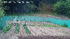 kannonmori-20250515183015.jpg