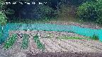 kannonmori-20250515184016.jpg