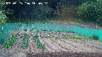 kannonmori-20250515185019.jpg