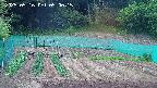 kannonmori-20250516050017.jpg