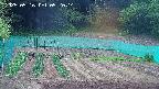 kannonmori-20250516052016.jpg