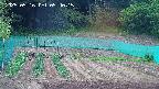 kannonmori-20250516054017.jpg