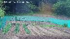 kannonmori-20250516060016.jpg