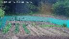 kannonmori-20250516061017.jpg