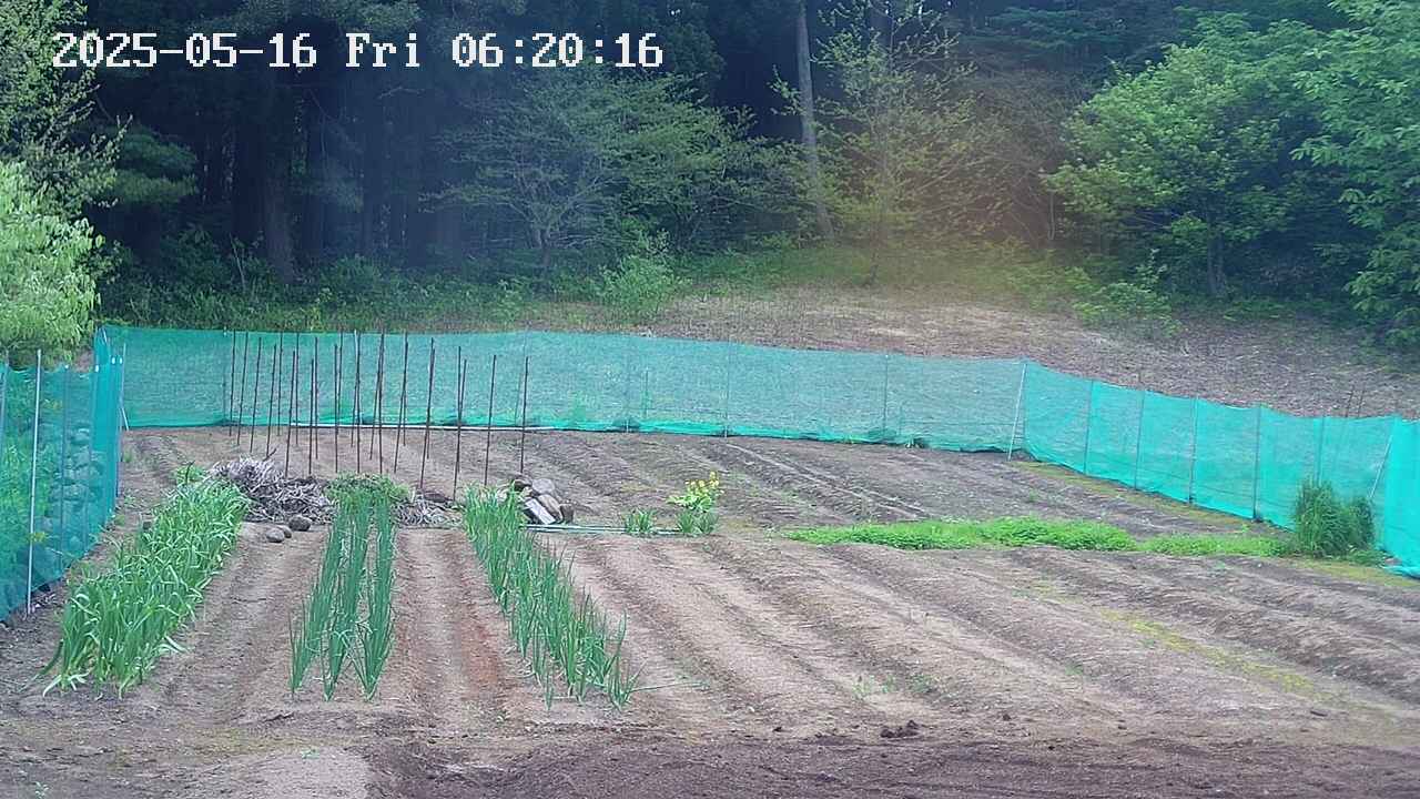 kannonmori-20250516062018.jpg