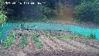 kannonmori-20250516064016.jpg