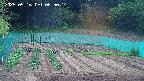 kannonmori-20250516065016.jpg
