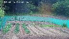 kannonmori-20250516071016.jpg