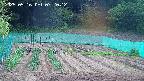 kannonmori-20250516072014.jpg