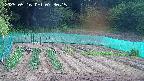 kannonmori-20250516073018.jpg