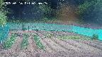 kannonmori-20250516075016.jpg
