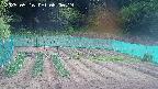 kannonmori-20250516080020.jpg