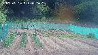 kannonmori-20250516081016.jpg