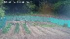 kannonmori-20250516082015.jpg