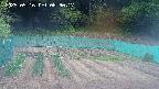 kannonmori-20250516083017.jpg