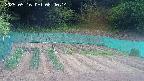 kannonmori-20250516084015.jpg