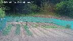 kannonmori-20250516085015.jpg