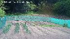 kannonmori-20250516090016.jpg