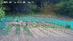 kannonmori-20250516091017.jpg