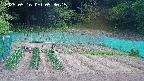 kannonmori-20250516093016.jpg